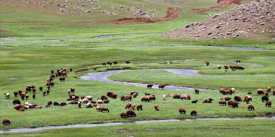 Bir yanı kar bir yanı bahar yaylada göçerlere soğuk engeli