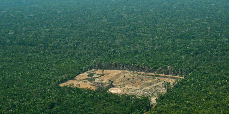 Her 6 saniyede bir futbol sahası kadar orman yok oldu