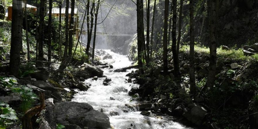 Çağlayandibi Şelalesi adına yaraşır çağlıyor