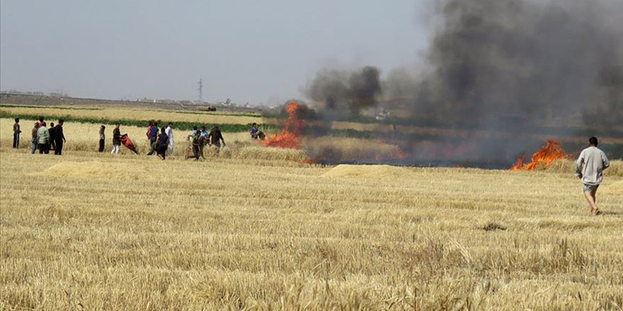 Suriye'de Esed rejimi halkın ekinlerini yakıyor