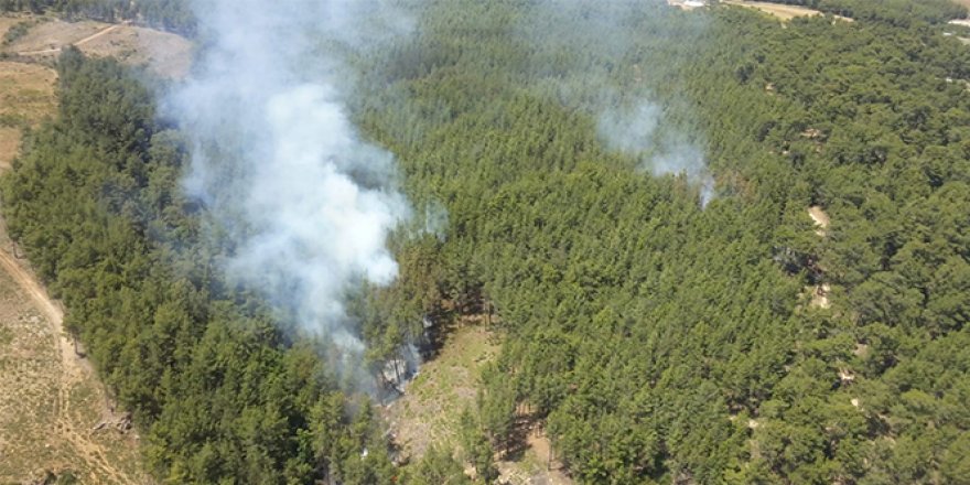 Antalya'da orman yangını