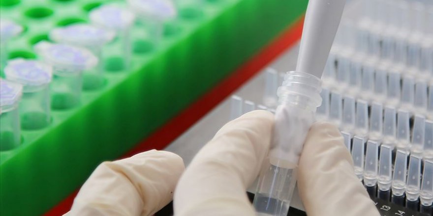 İkinci kez koronavirüse yakalanmada 'mutasyon' ihtimali