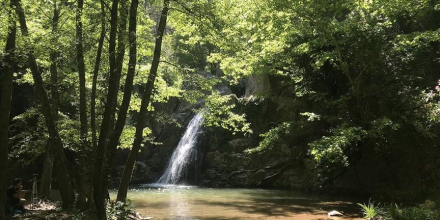 Orman içerisindeki Kocaçay Şelalesi, keşfedilmeyi bekliyor