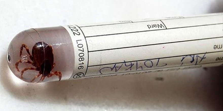 KKKA belirtileri Covid-19’a benziyor, kene teması sorgulanmalı