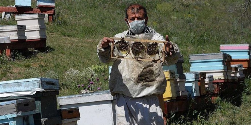 Krizi fırsata çevirerek bal üretiminde öncü oldu
