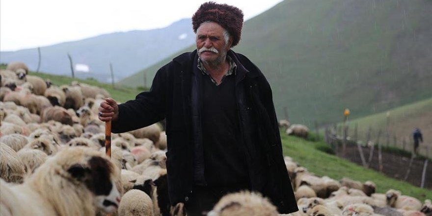 85 yaşındaki Süleyman dedenin çobanlık sevgisi