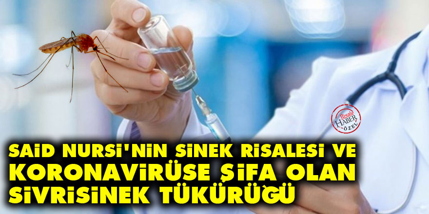 Said Nursi'nin Sinek Risalesi ve koronavirüse şifa olan sivrisinek tükürüğü