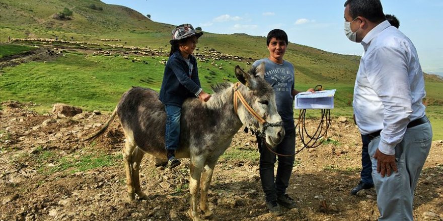 Yayla çocuklarına eğitimcilerden 'LGS sınavına hazırlık' desteği