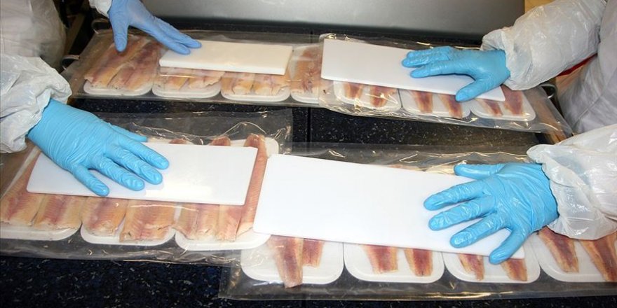 Tüketiciye kılçığı ayıklanmış pişirmeye hazır balık satılacak