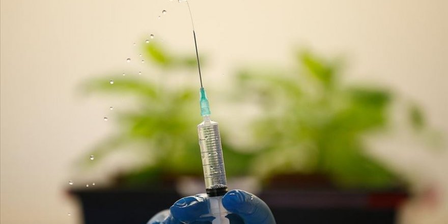 Aşı üretiminde 'yeşil bitki' formülü