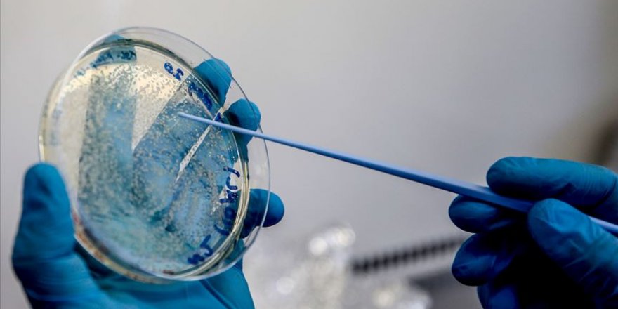 AstraZeneca Kovid-19 aşı denemesini durdurdu