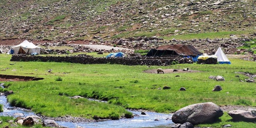 Doğu'nun verimli yaylaları göçerlerle şenlendi