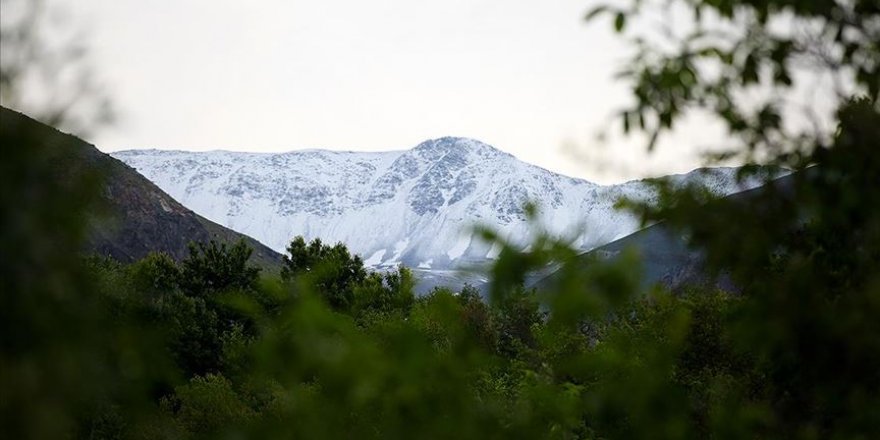 Esence Dağı haziranda beyaza büründü
