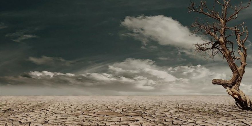 "Türkiye'nin yüzde 22,5'i çölleşme riski altında"