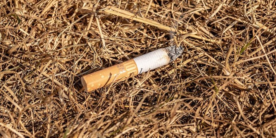 Tütün ürünü atıklarının çevresel yükünü önlemek için etkili politika uygulanması talebi