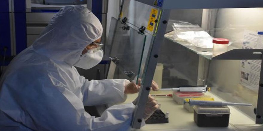 İsveç KKKA aşısı deneyecek