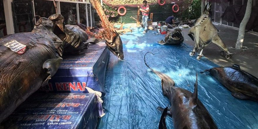 Türkiye'deki tek balıkçılık müzesi misafirlerini bekliyor