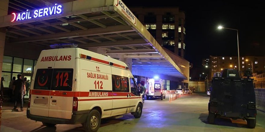 Bir Pitbull dehşeti de İstanbul'da! Tasmasız köpek çocuklara saldırdı