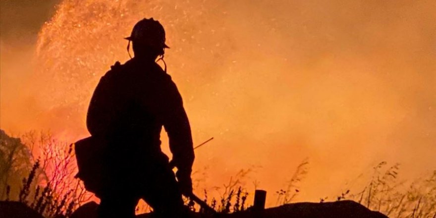 ABD'de aşırı sıcaklar ve orman yangınları alarm veriyor