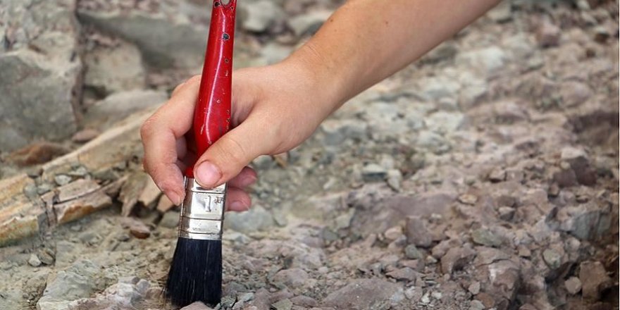 Dünyanın en küçük dinozor yumurtası fosili keşfedildi