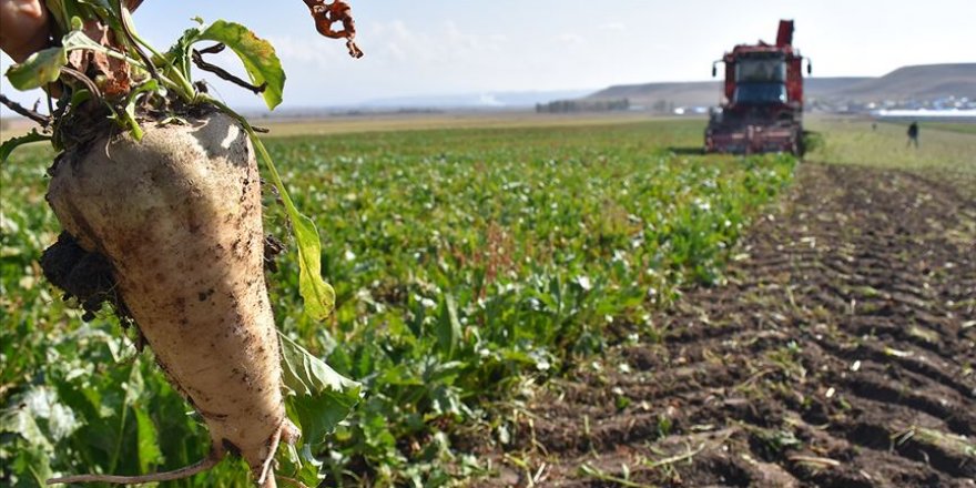 'Sözleşmeli tarım' ile kaliteli ürününün tüketiciye ulaştırılması amaçlanıyor