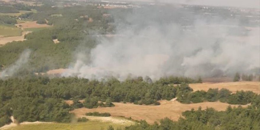 Adana'da yakılan anız nedeniyle orman yangını çıktı
