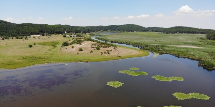 Yayla Gölü kesin korunacak alan ilan edildi