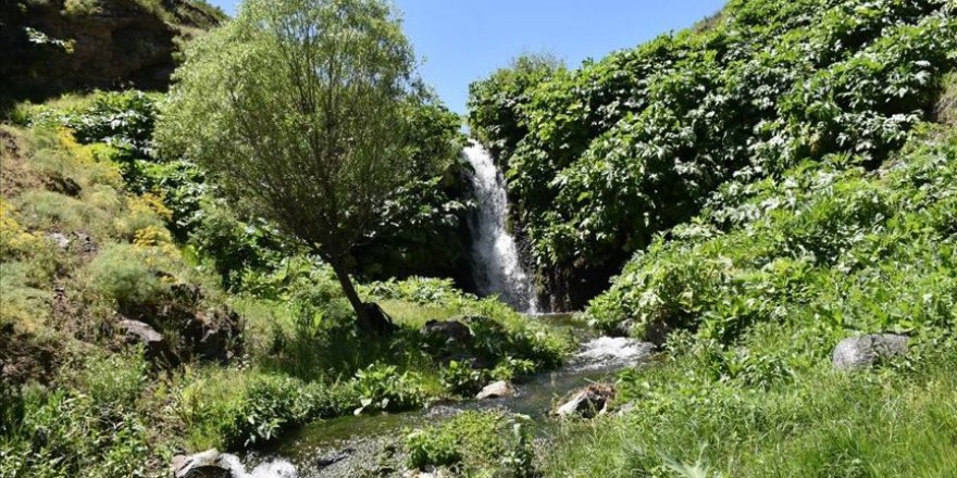 Ani Ören Yeri göz kamaştırıyor