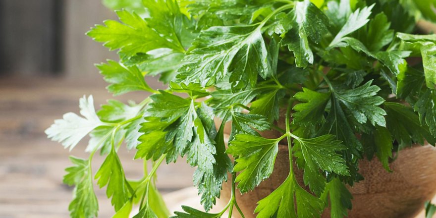 Vücuttaki ödemleri atmak için tavsiyeler