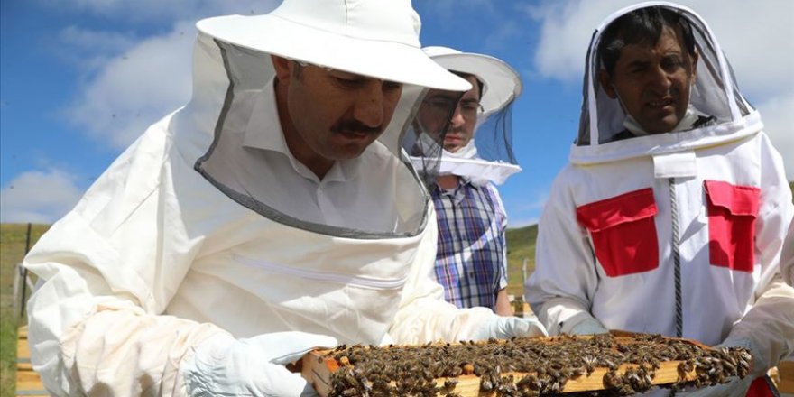 Sivas arıcılığın üssü olmayı amaçlıyor