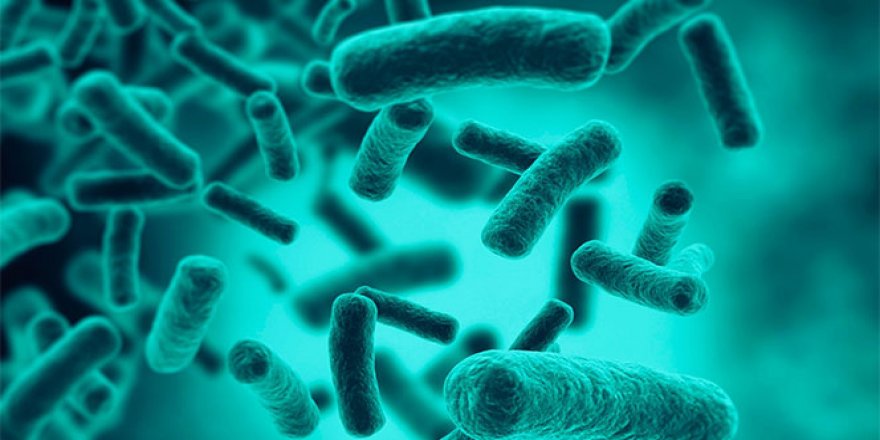 Beslenme alışkanlıkları nedeniyle hastalanmaların oranı yüzde 50'yi geçti