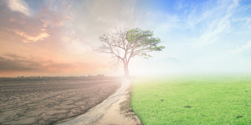 6 bin 500 yılda gerçekleşen soğumayı küresel ısınma tersine çevirdi