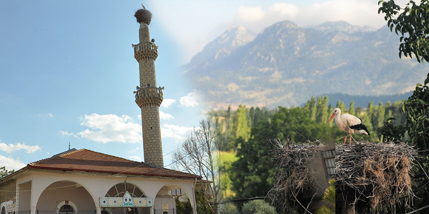 60 yıllık misafirleri rahatsız olmasın diye minareyi onarmıyorlar
