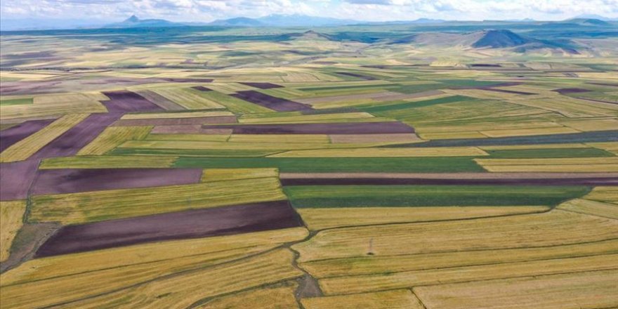 Sudan'da 1 milyon dönüm tarım arazisi Türkiye tarafından işlenecek