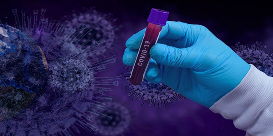 Canan Karatay, koronavirüse karşı iki vitamin önerdi