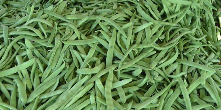 Aralıkta en çok taze fasulyenin fiyatı arttı
