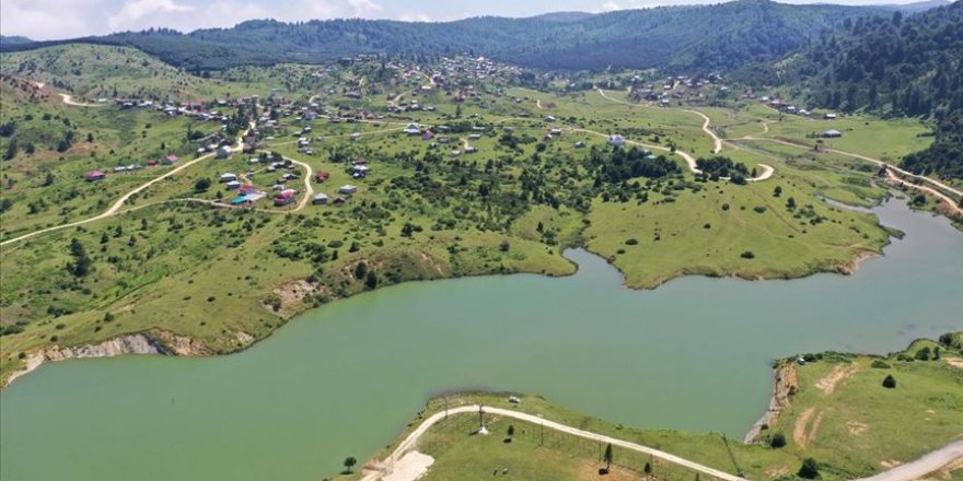 Doğa tutkunlarının gözdesi Sakarya yaylaları