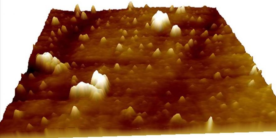 Kovid-19 virüsünü biyolojik sıvı altında görüntülemeyi hedefliyorlar