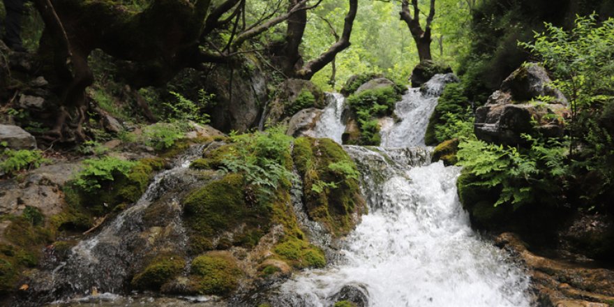 Amanosların Yeşildere Vadisi doğaseverlerin ilgi odağı