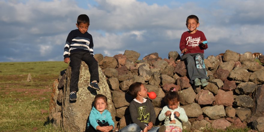Köylülerin yayla mesaileri güzel görüntülere sahne oluyor