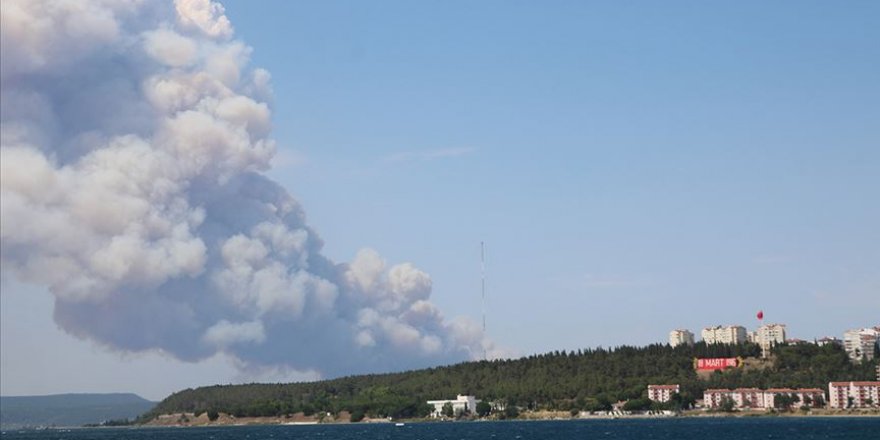 Gelibolu'da ormanlık alanda yangın çıktı