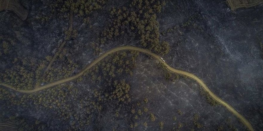 Gelibolu Yarımadası'nda ormanlık alanda çıkan yangın kontrol altına alındı