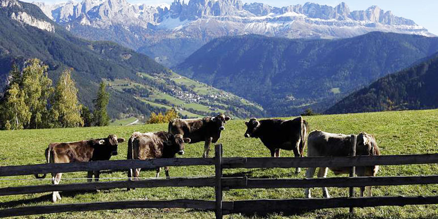 Et tüketimini engellemek isteyen lobinin yeni yalanı