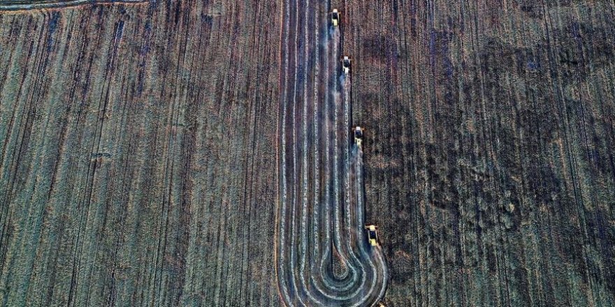 Konya'da hububat hasadı üreticileri sevindirdi