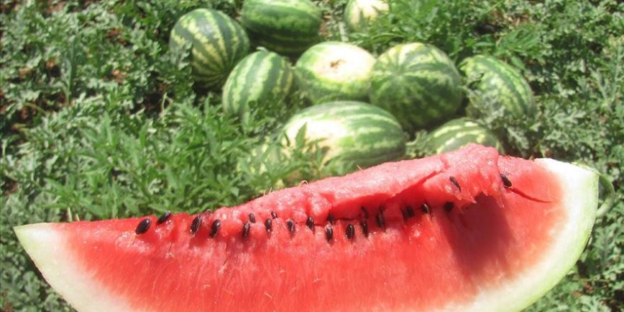 Kainat eczanesinden karpuz, kilo aldırır mı?