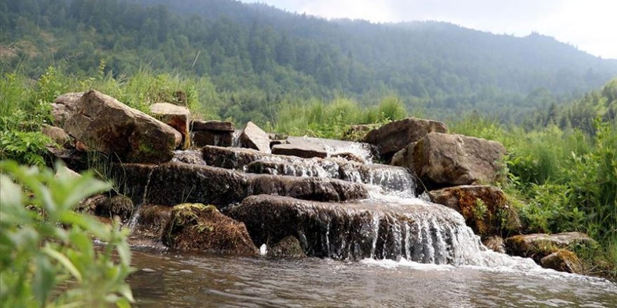 Bölüklü ve Bacaklı yaylaları doğaseverlerin adresi