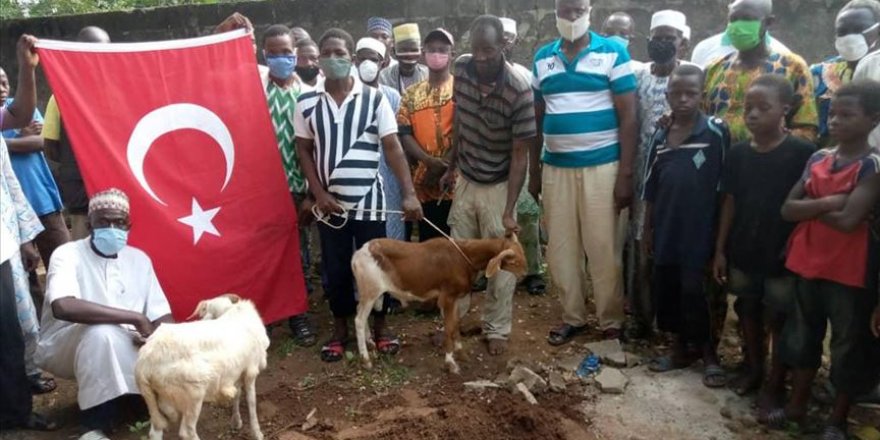 Togo'da Ayasofya'nın ibadete açılması üzerine kurban kestiler