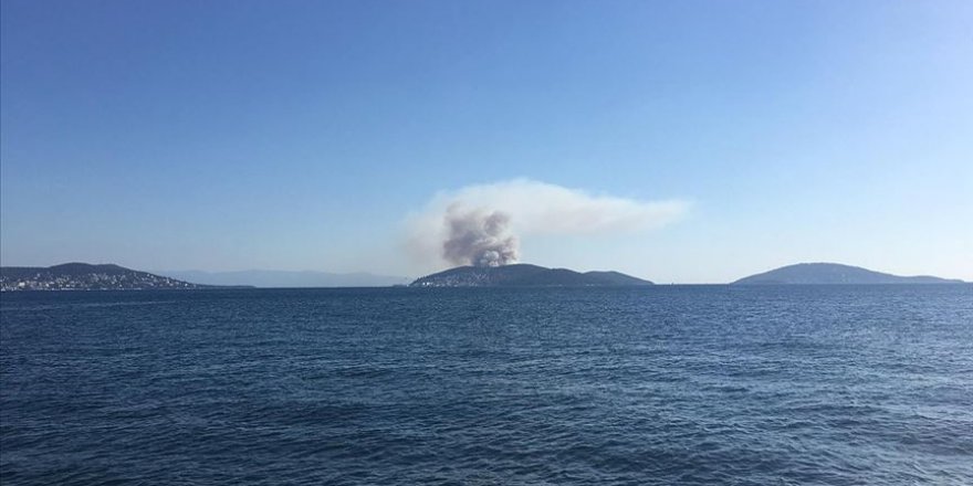 Heybeliada'da orman alanda yangın çıktı