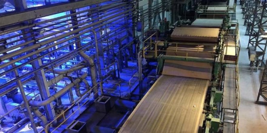 Pandemi sürecinde kağıt sektörü büyüdü