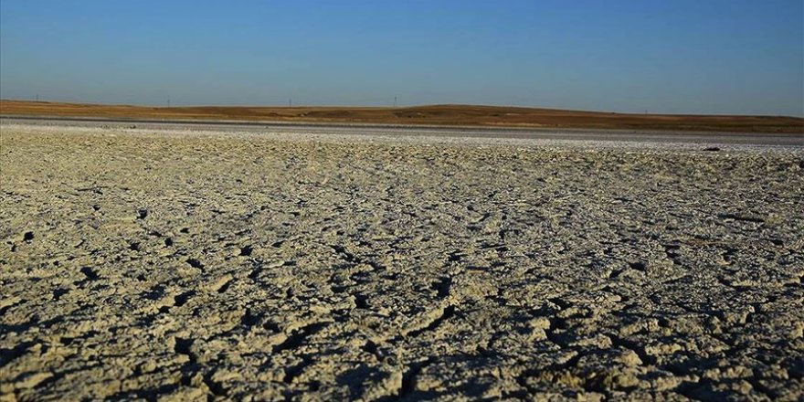 Türkiye'de Küresel ısınma için büyük araştırma başlıyor